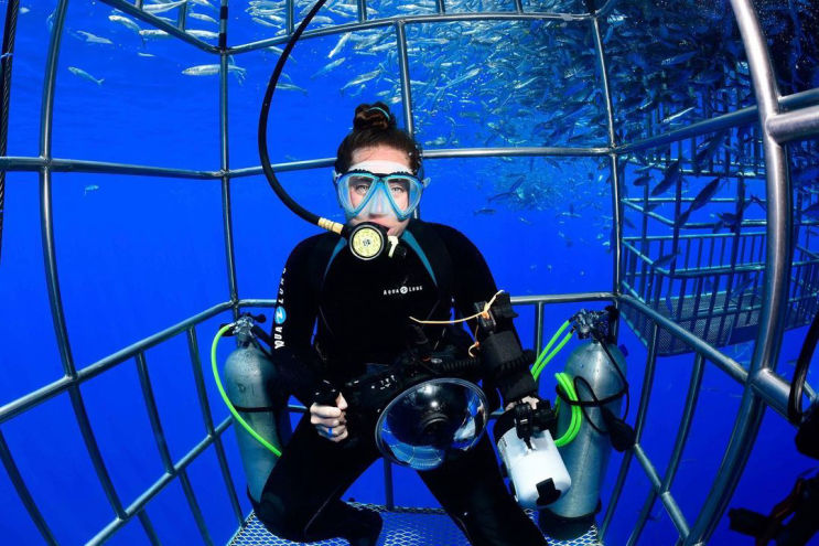 Alex Rose, cage diving with Great White Sharks